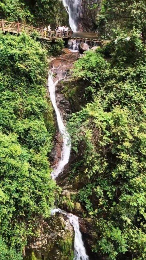 豆娃勇士2