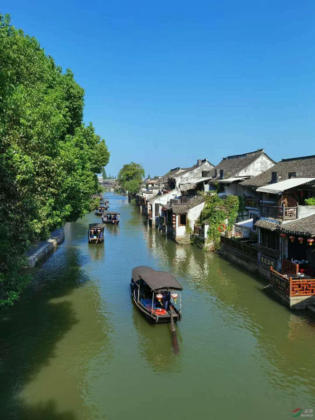 瞭望 | 吃空气产万物的“蓝藻工厂”走入现实